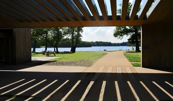 'Sunbeams at Virginia Water' by Steve Skinner of Horndean & District u3a