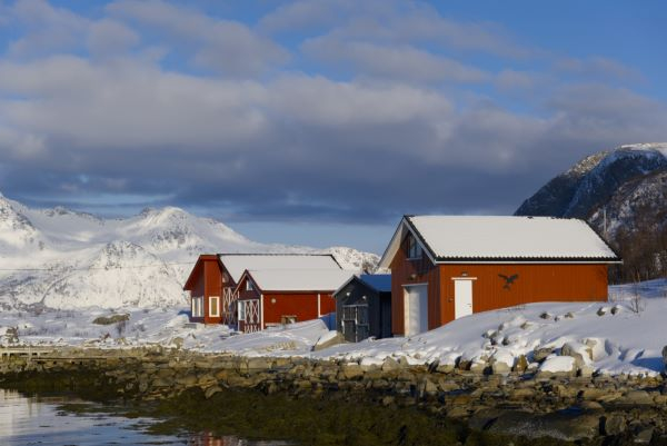 'Fishermens' Huts' by Lynne Birchall, Mawdesley u3a