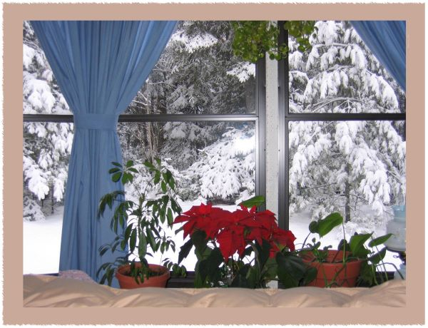 'Red White And Blue In New England' by Peter of Charnwood u3a