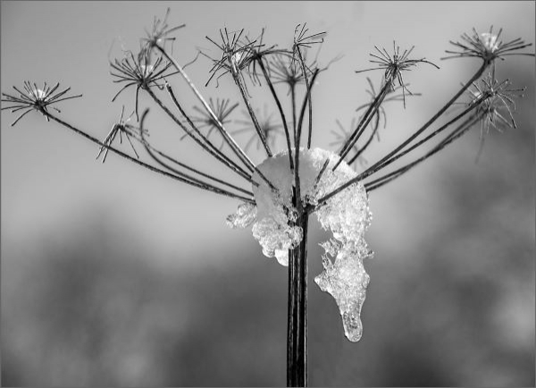 'Shapes In Melting Snow' by Sue Lee of Chiltern u3a