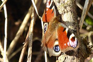 Setting up a New U3A Interest Group