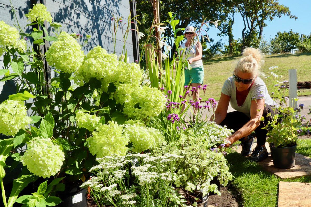 Creating A Show Garden to Celebrate 40 Years of u3a
