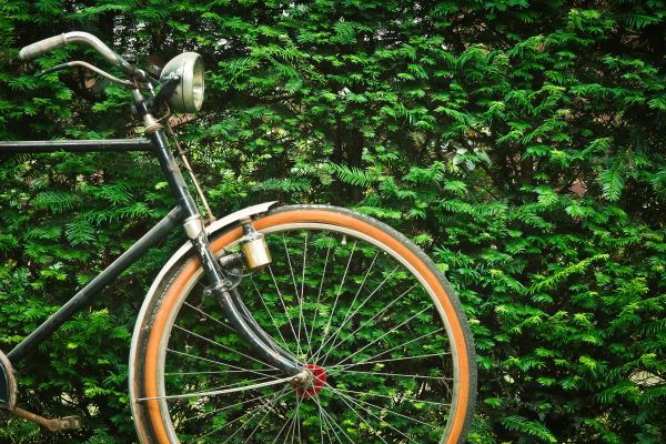 a bicycle front wheel of a black bike with a hedge behind it 