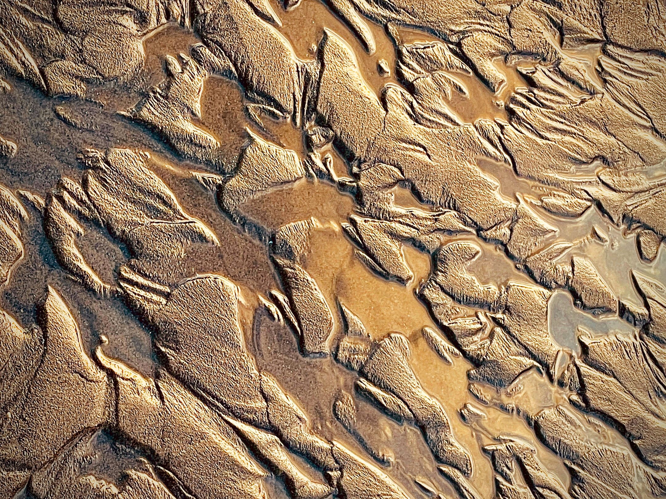 circular patterns in sand, with water in gaps. 