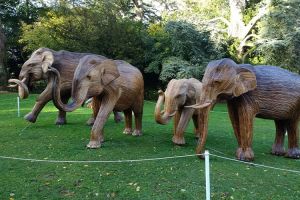 u3a members walk a mile and smile