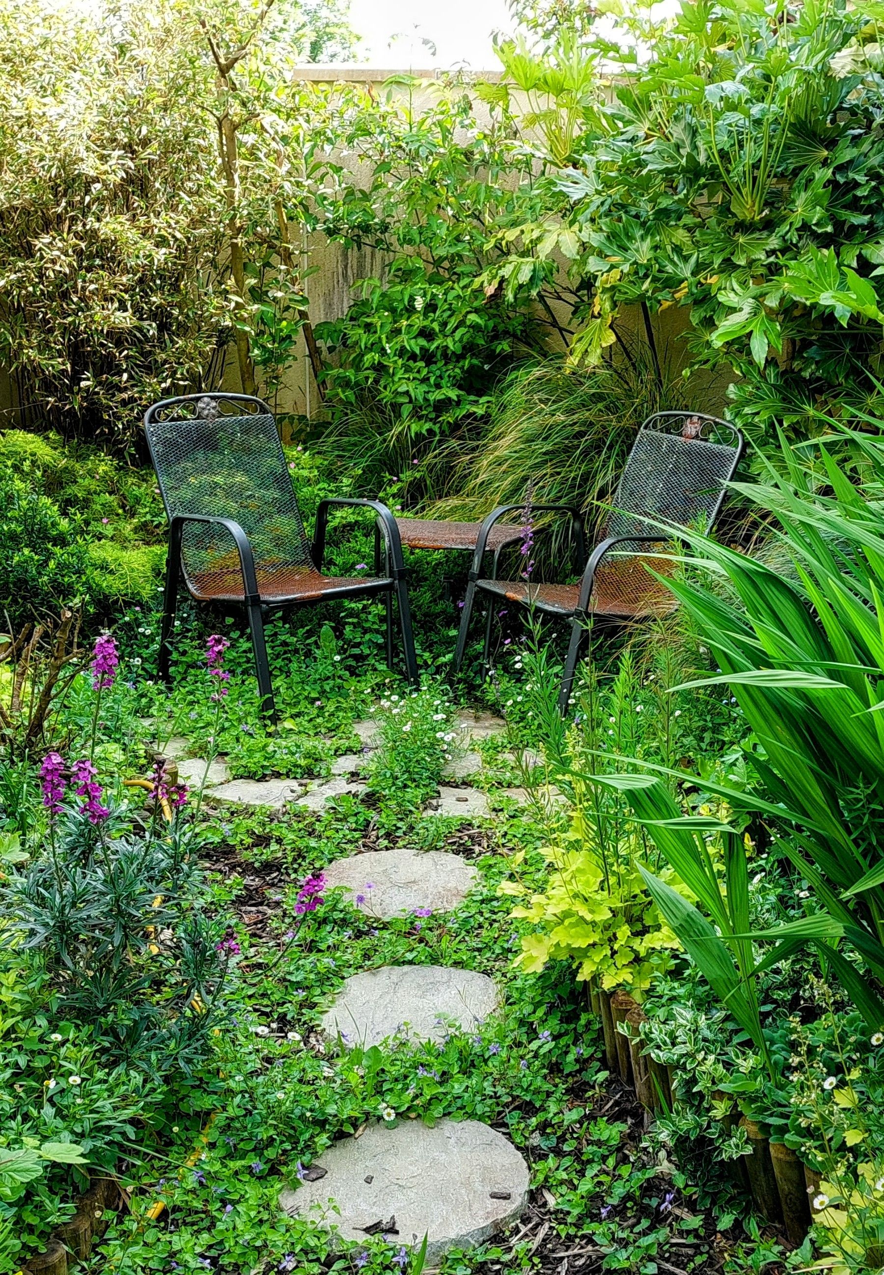 two rusting metal chairs and a table hidden amongst overgrowing green foliage and plants with stepping stones in the foreground 