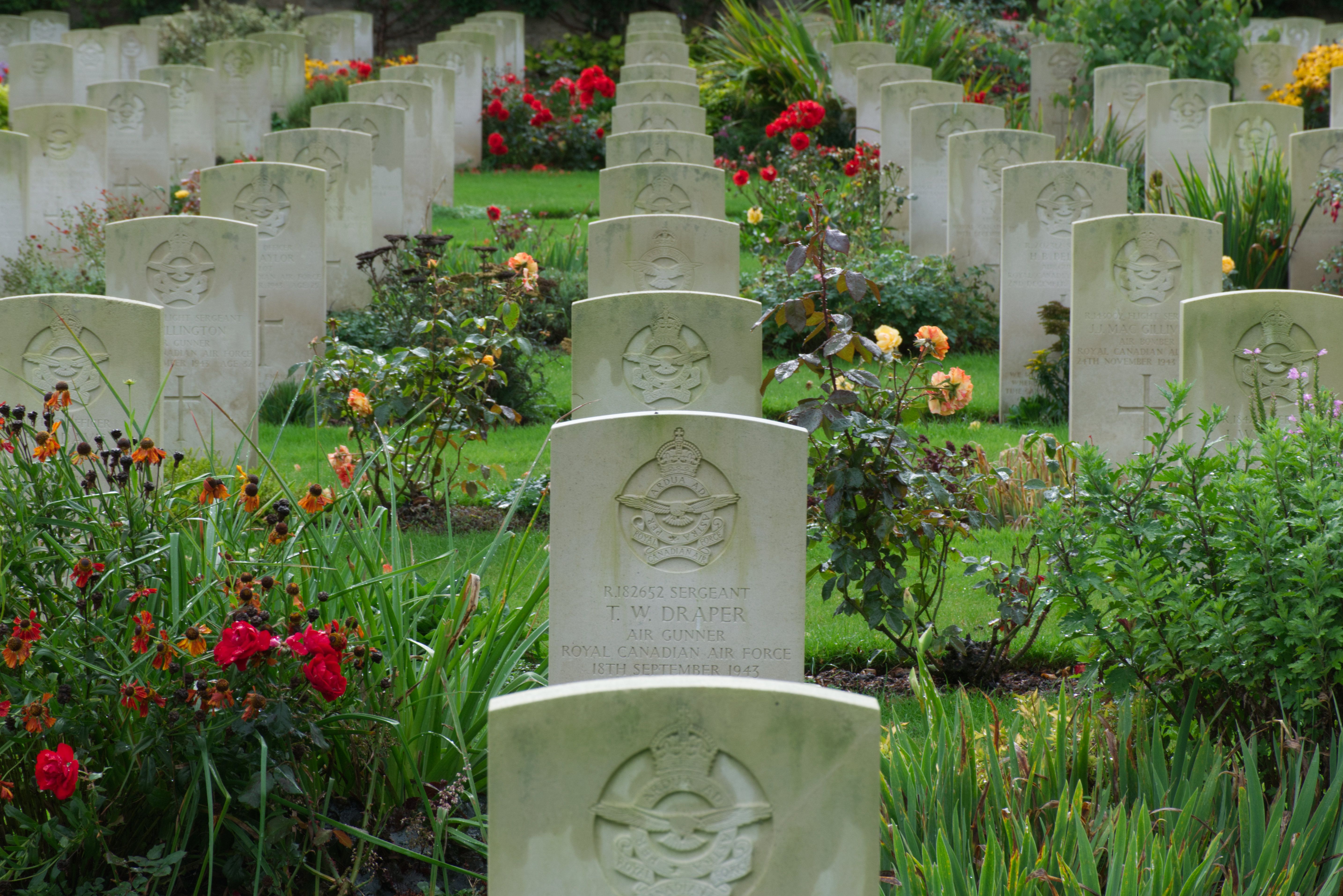 rectangle shaped war graves in grass and colourful flowers in between 