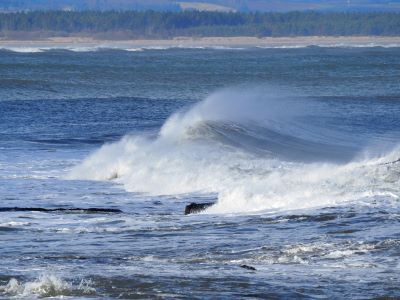 a wave cresting across the photo, going towards the left