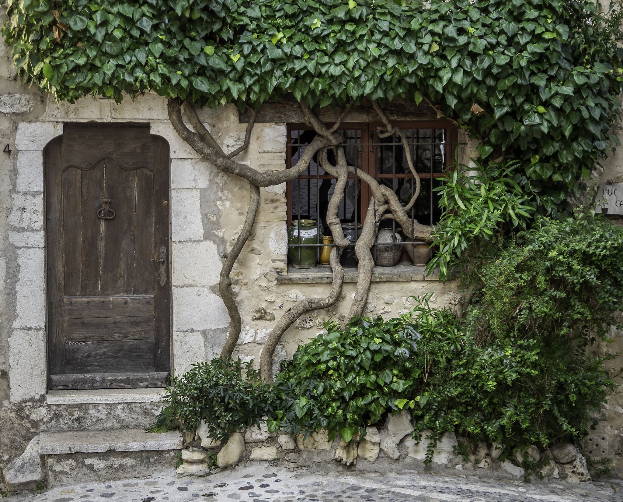 an old house with branches of a tree growing around the windows