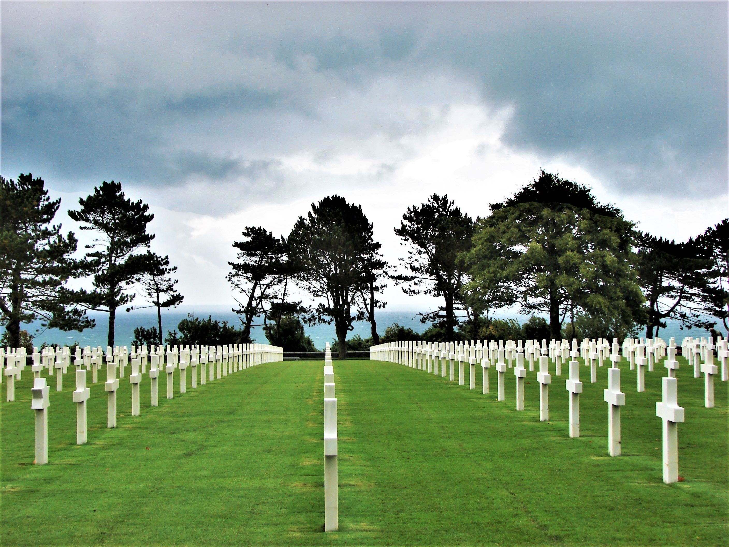 a photo so symmetrical it looks mirrored, of cross shaped white war graves and trees in teh background
